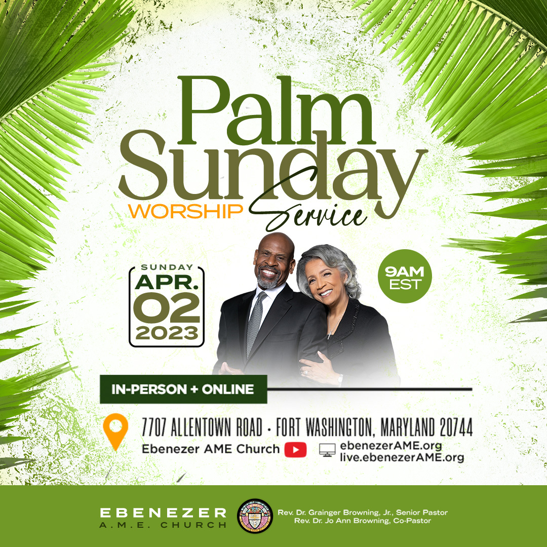 March 27 Palm Distribution