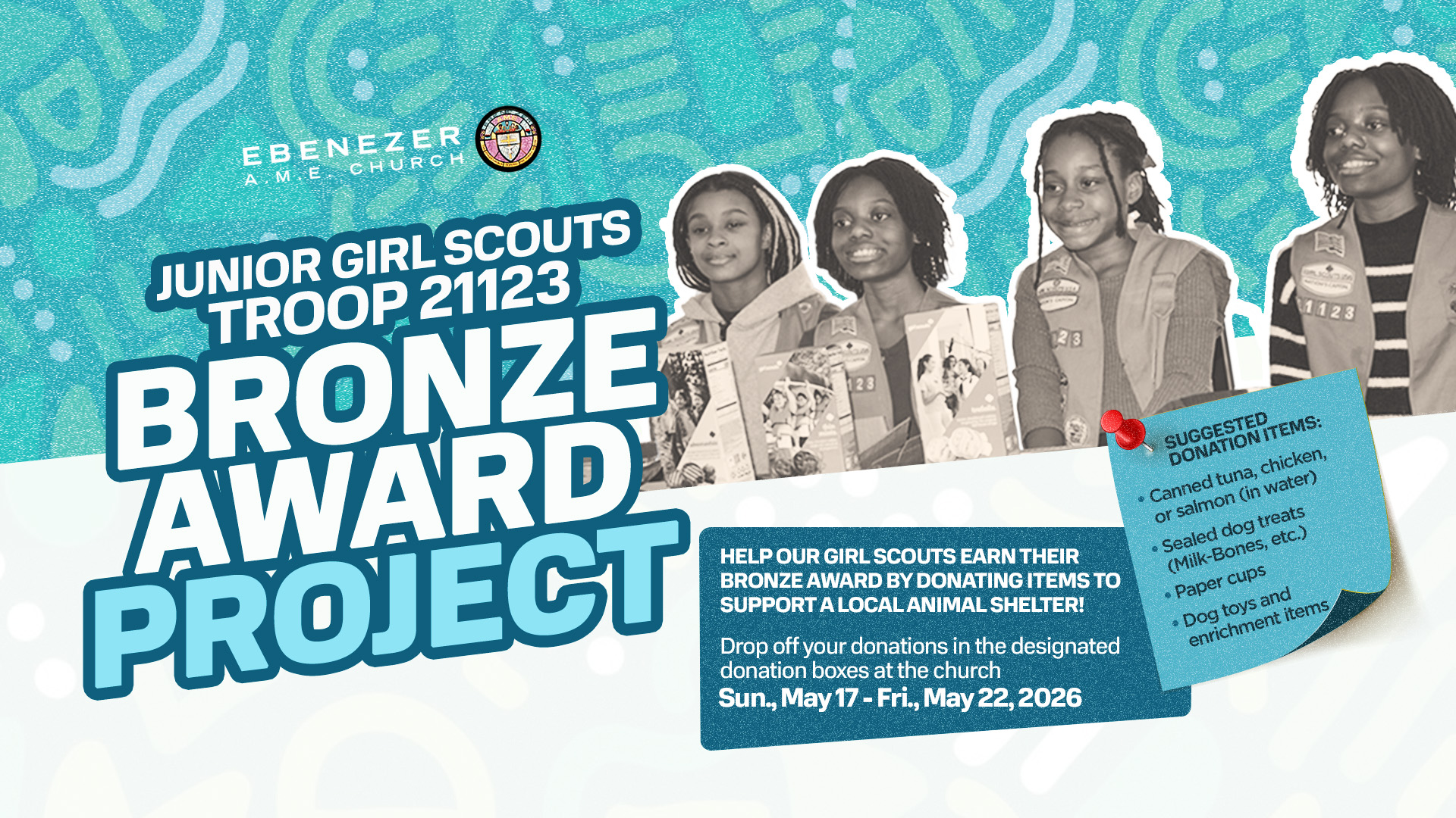 Girl Scouts Bronze Award Project