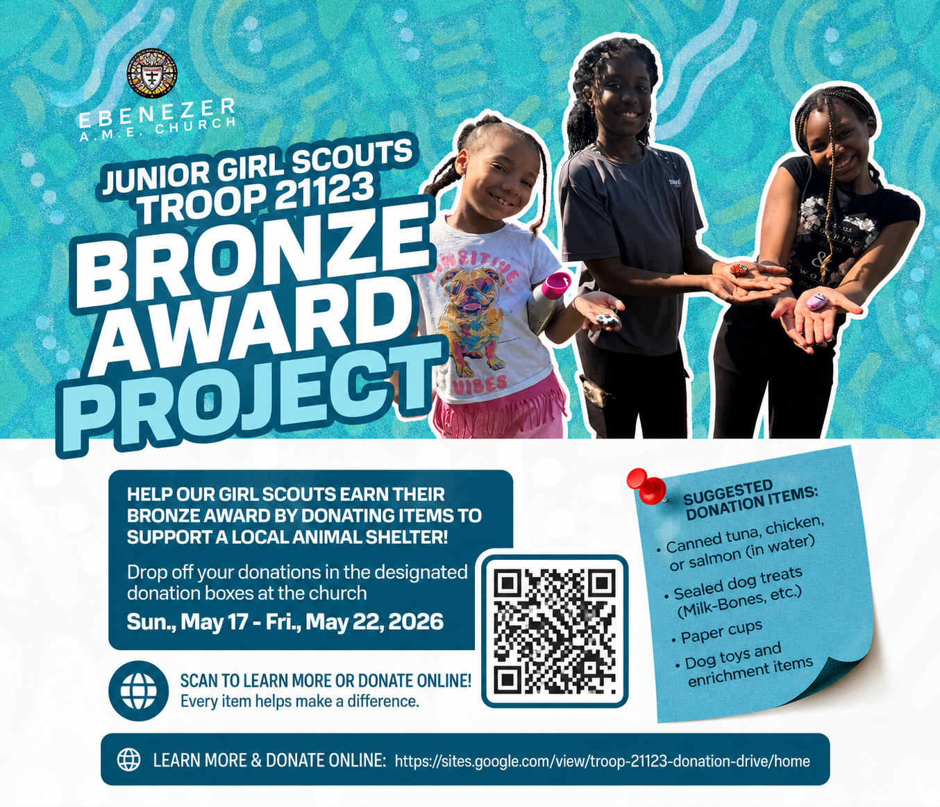 Girl Scouts Bronze Award Project Girl Scouts Bronze Award Project